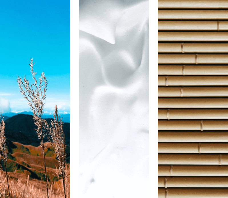 Landscape & Texture